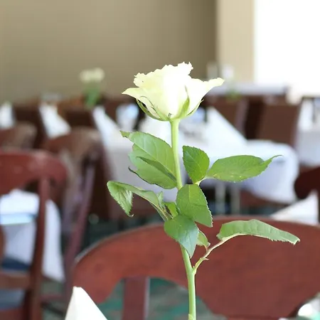 Fjordhotell Hotel